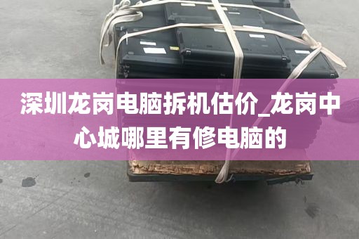 深圳龙岗电脑拆机估价_龙岗中心城哪里有修电脑的