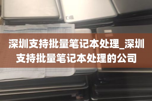 深圳支持批量笔记本处理_深圳支持批量笔记本处理的公司
