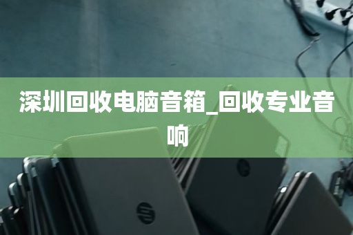深圳回收电脑音箱_回收专业音响
