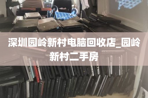 深圳园岭新村电脑回收店_园岭新村二手房