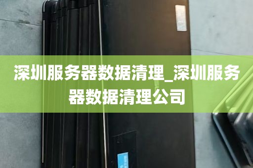 深圳服务器数据清理_深圳服务器数据清理公司