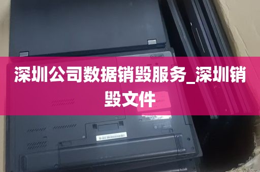 深圳公司数据销毁服务_深圳销毁文件