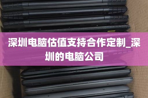 深圳电脑估值支持合作定制_深圳的电脑公司