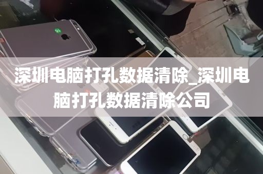深圳电脑打孔数据清除_深圳电脑打孔数据清除公司