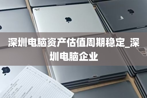 深圳电脑资产估值周期稳定_深圳电脑企业