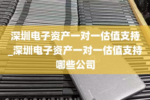 深圳电子资产一对一估值支持_深圳电子资产一对一估值支持哪些公司