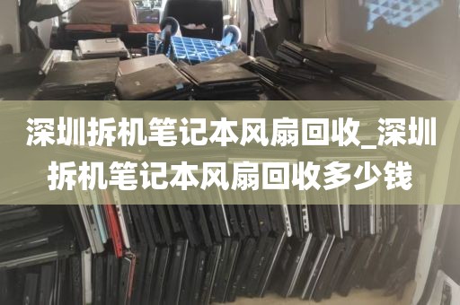 深圳拆机笔记本风扇回收_深圳拆机笔记本风扇回收多少钱