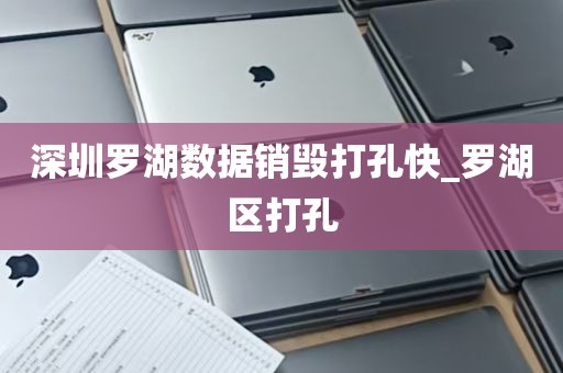 深圳罗湖数据销毁打孔快_罗湖区打孔