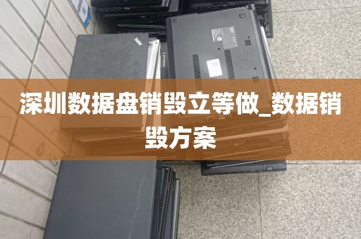 深圳数据盘销毁立等做_数据销毁方案