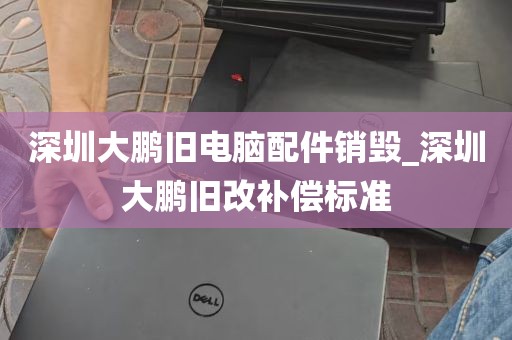 深圳大鹏旧电脑配件销毁_深圳大鹏旧改补偿标准