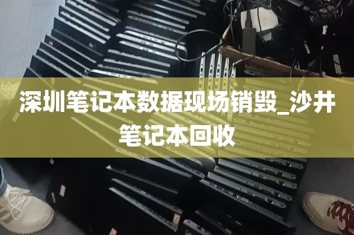 深圳笔记本数据现场销毁_沙井笔记本回收