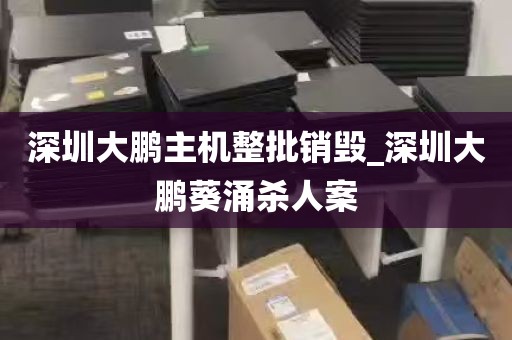深圳大鹏主机整批销毁_深圳大鹏葵涌杀人案