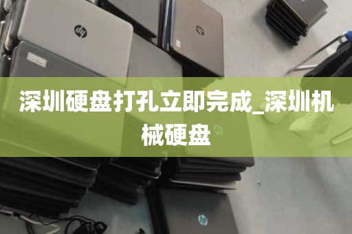 深圳硬盘打孔立即完成_深圳机械硬盘