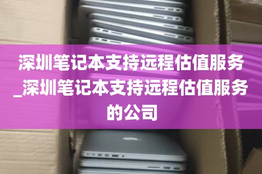 深圳笔记本支持远程估值服务_深圳笔记本支持远程估值服务的公司