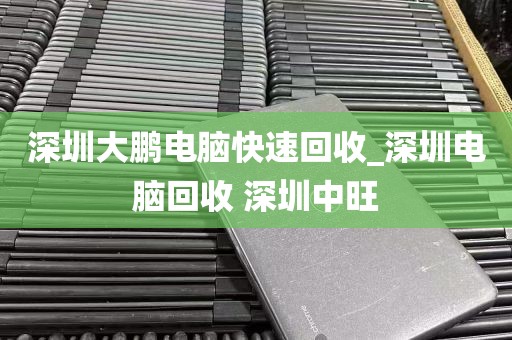 深圳大鹏电脑快速回收_深圳电脑回收 深圳中旺