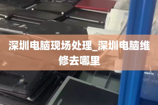 深圳电脑现场处理_深圳电脑维修去哪里