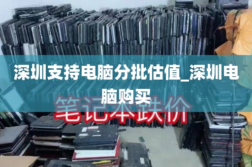 深圳支持电脑分批估值_深圳电脑购买