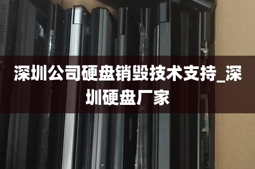深圳公司硬盘销毁技术支持_深圳硬盘厂家