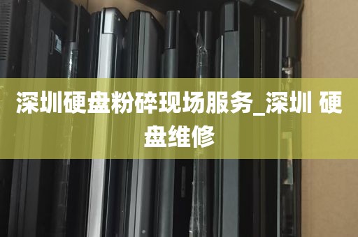 深圳硬盘粉碎现场服务_深圳 硬盘维修