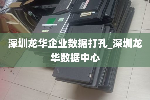 深圳龙华企业数据打孔_深圳龙华数据中心