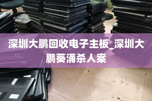 深圳大鹏回收电子主板_深圳大鹏葵涌杀人案