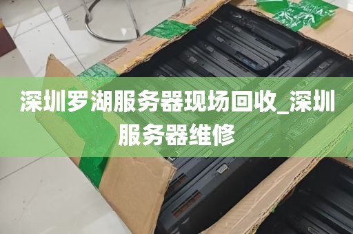 深圳罗湖服务器现场回收_深圳服务器维修