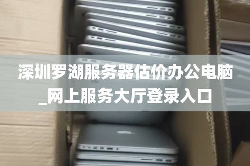 深圳罗湖服务器估价办公电脑_网上服务大厅登录入口