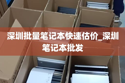 深圳批量笔记本快速估价_深圳笔记本批发