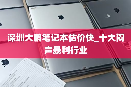 深圳大鹏笔记本估价快_十大闷声暴利行业
