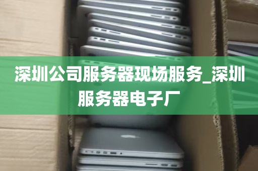 深圳公司服务器现场服务_深圳服务器电子厂