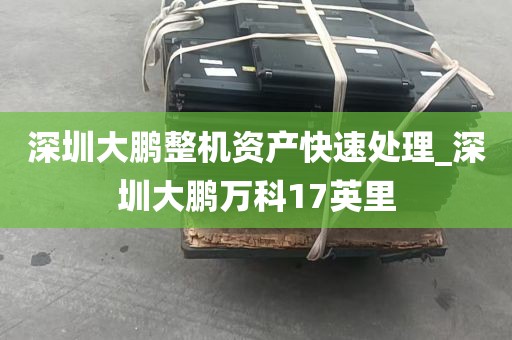 深圳大鹏整机资产快速处理_深圳大鹏万科17英里