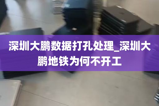 深圳大鹏数据打孔处理_深圳大鹏地铁为何不开工