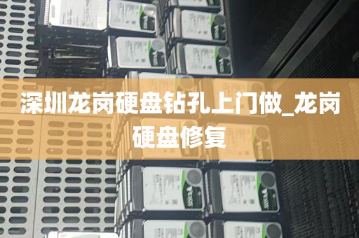 深圳龙岗硬盘钻孔上门做_龙岗硬盘修复