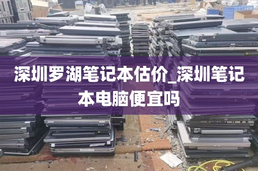 深圳罗湖笔记本估价_深圳笔记本电脑便宜吗