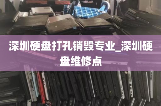深圳硬盘打孔销毁专业_深圳硬盘维修点
