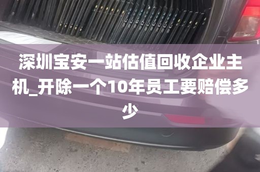 深圳宝安一站估值回收企业主机_开除一个10年员工要赔偿多少
