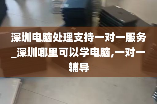深圳电脑处理支持一对一服务_深圳哪里可以学电脑,一对一辅导