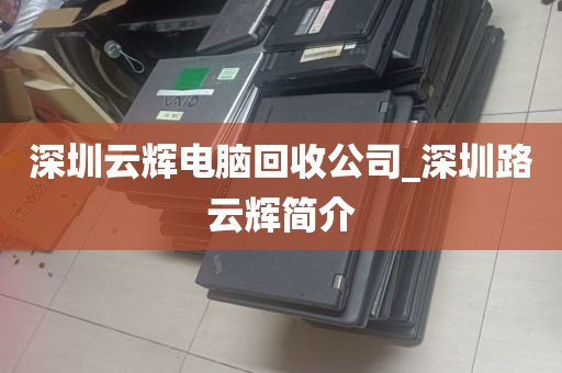 深圳云辉电脑回收公司_深圳路云辉简介
