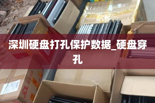 深圳硬盘打孔保护数据_硬盘穿孔