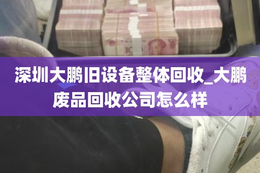 深圳大鹏旧设备整体回收_大鹏废品回收公司怎么样