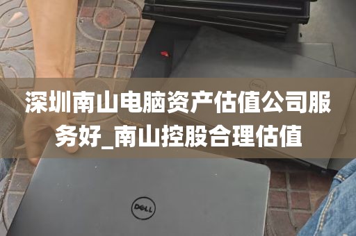 深圳南山电脑资产估值公司服务好_南山控股合理估值