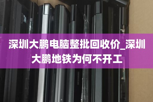 深圳大鹏电脑整批回收价_深圳大鹏地铁为何不开工