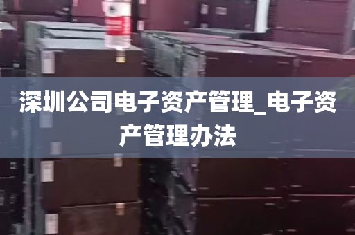 深圳公司电子资产管理_电子资产管理办法