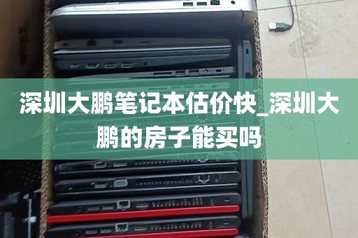 深圳大鹏笔记本估价快_深圳大鹏的房子能买吗