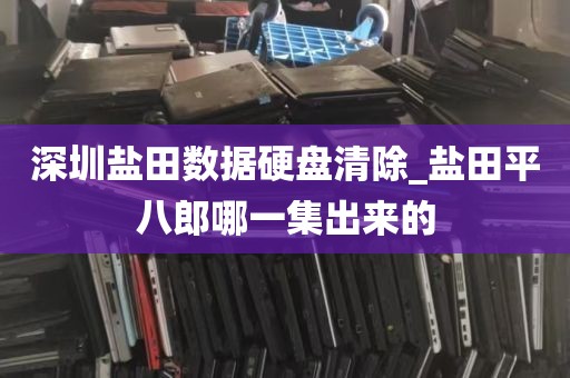 深圳盐田数据硬盘清除_盐田平八郎哪一集出来的