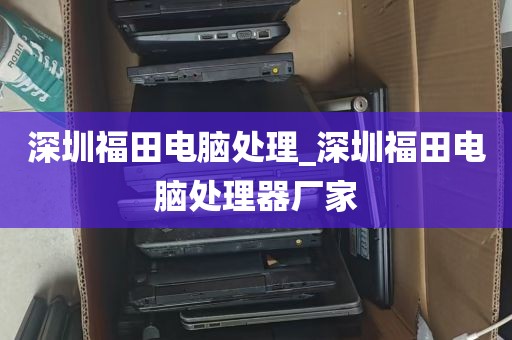 深圳福田电脑处理_深圳福田电脑处理器厂家