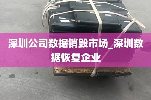 深圳公司数据销毁市场_深圳数据恢复企业