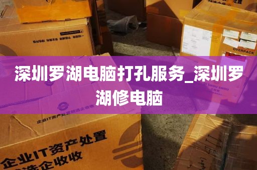 深圳罗湖电脑打孔服务_深圳罗湖修电脑