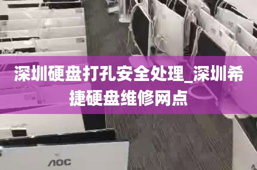 深圳硬盘打孔安全处理_深圳希捷硬盘维修网点