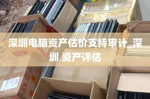 深圳电脑资产估价支持审计_深圳 资产评估